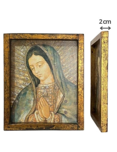 CUADRO VIRGEN GUADALUPE CAJON 36X24CM DELGADO